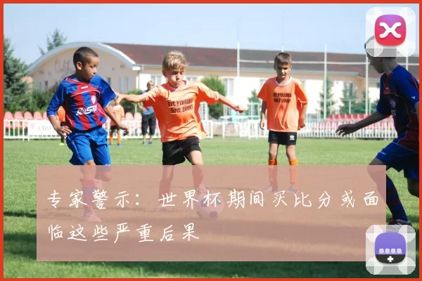 专家警示：世界杯期间买比分或面临这些严重后果