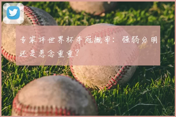 专家评世界杯夺冠概率:强弱分明还是悬念重重?