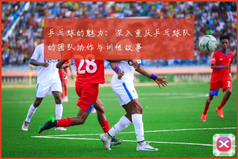 乒乓球的魅力：深入重庆乒乓球队的团队协作与训练故事