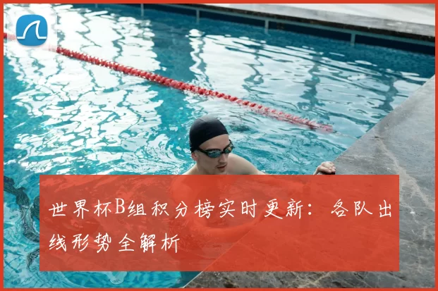 世界杯B组积分榜实时更新:各队出线形势全解析