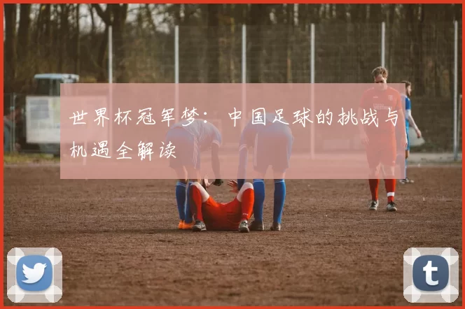 世界杯冠军梦：中国足球的挑战与机遇全解读