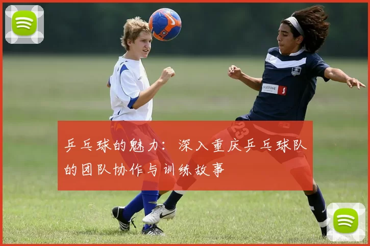 乒乓球的魅力：深入重庆乒乓球队的团队协作与训练故事