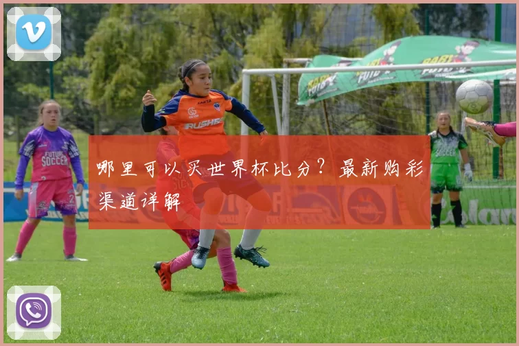 哪里可以买世界杯比分?最新购彩渠道详解