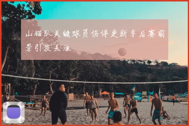 山猫队关键球员伤停更新季后赛前景引发关注