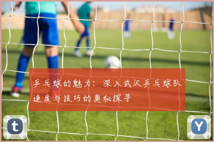 乒乓球的魅力：深入武汉乒乓球队速度与技巧的奥秘探寻