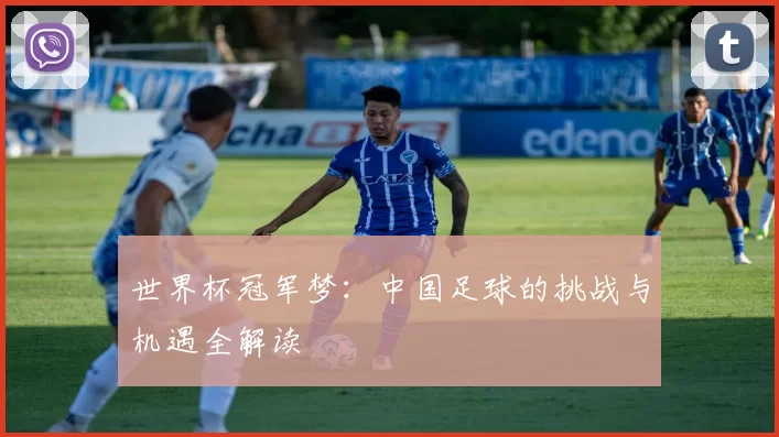 世界杯冠军梦：中国足球的挑战与机遇全解读