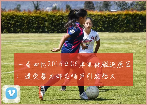 一哥回忆2016年G6库里被驱逐原因:遭受暴力却无哨声引发怒火