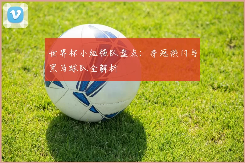 世界杯小组强队盘点:夺冠热门与黑马球队全解析