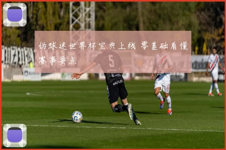 伪球迷世界杯宝典上线 零基础看懂赛事要点