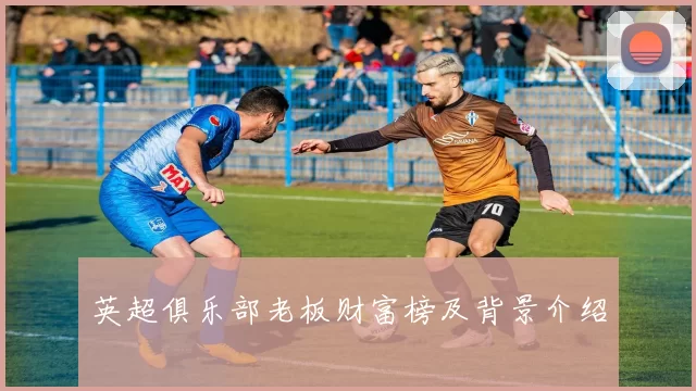 英超俱乐部老板财富榜及背景介绍