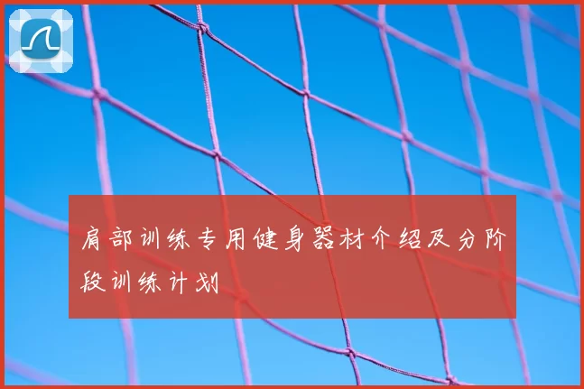 肩部训练专用健身器材介绍及分阶段训练计划